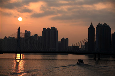 多样服务满足您的需求